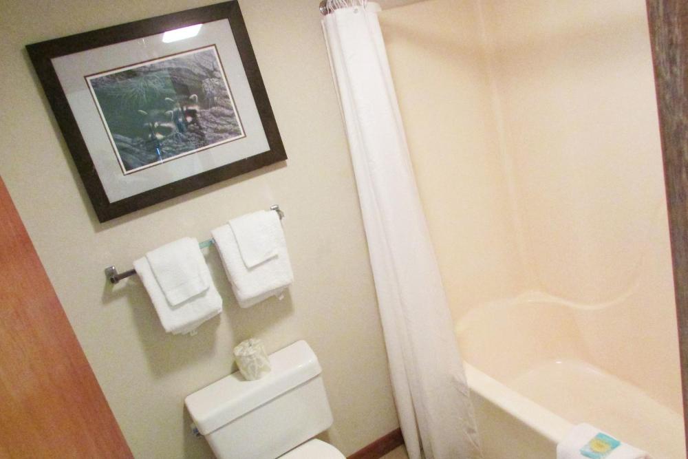 Superior Double Queen Mountain View with Shared Hall Balcony and Rocking Chairs interior